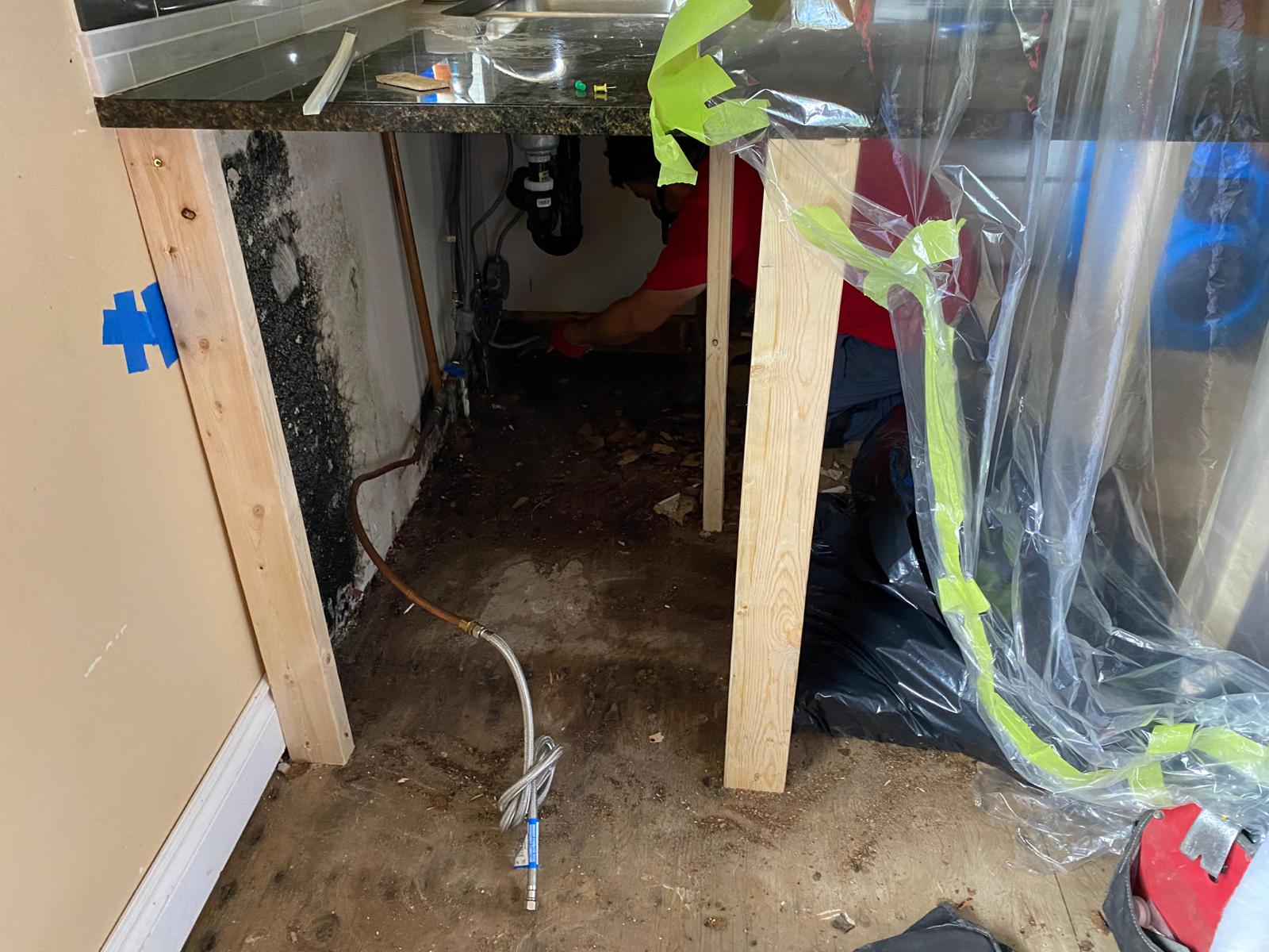 Mold Remediation